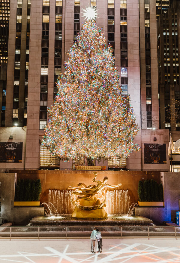 Proposta Ice Rink ROCKEFELLER - immagine 2