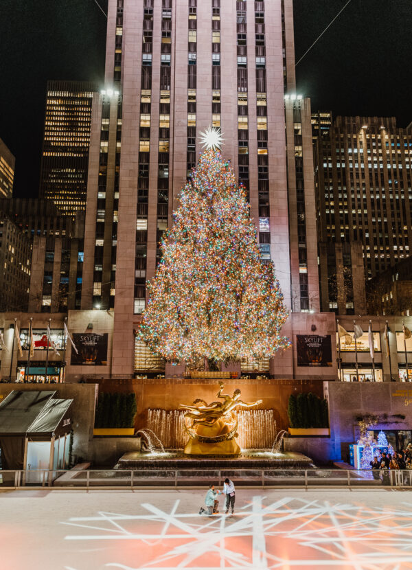 Proposta Ice Rink ROCKEFELLER - immagine 3