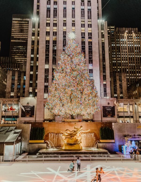 Proposta Ice Rink ROCKEFELLER - immagine 4